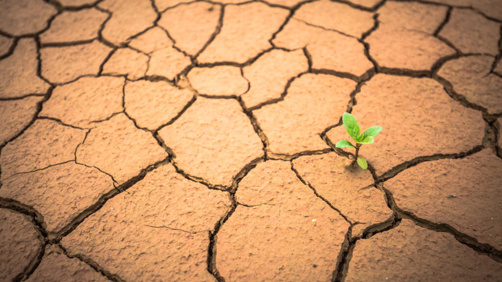 Que nous disent les textes et comment les religions s’engagent sur les questions écologiques de notre temps ? (Photo d'illustration)