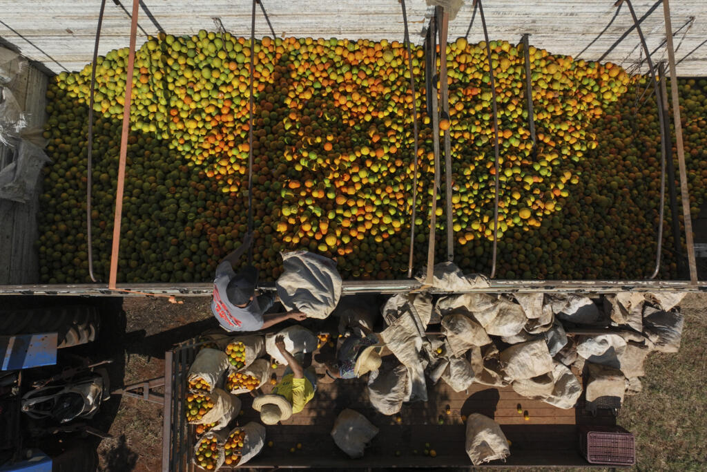 African citrus exports remain vulnerable despite the temporary US tariff suspension. The citrus industry is among several sectors across the continent facing ongoing trade uncertainty.