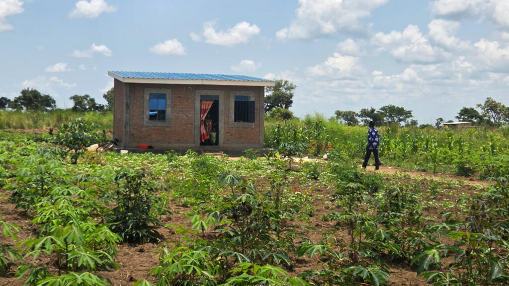 Après un passage dans un centre de réhabilitation, les ONG Terra Renaissance et Pax ont remis des maisons et des terres aux anciens rebelles de la LRA rapatriés de Centrafrique en 2023 pour aider à leur réintégration.