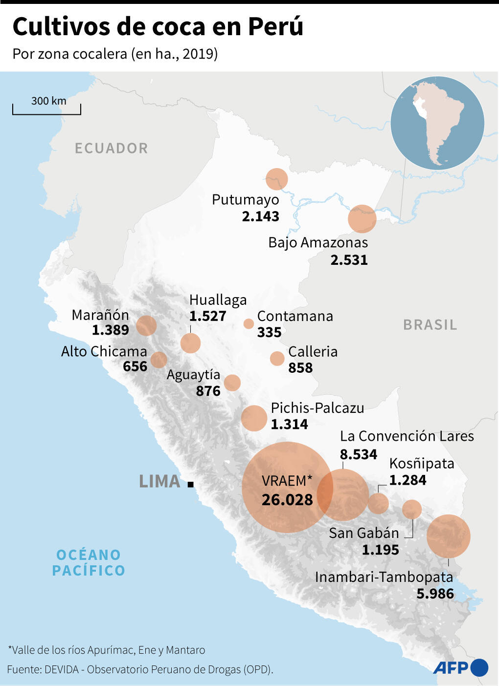 Perú planea comprar toda la producción de hojas de coca como parte de