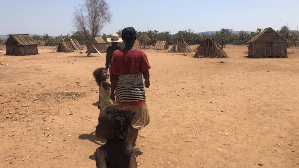 Le hameau d'Ankilimarovahatsy, dans l'extrême sud de Madagascar. La plupart des habitants sont agriculteurs mais ne peuvent plus cultiver depuis plusieurs mois faute de pluie.