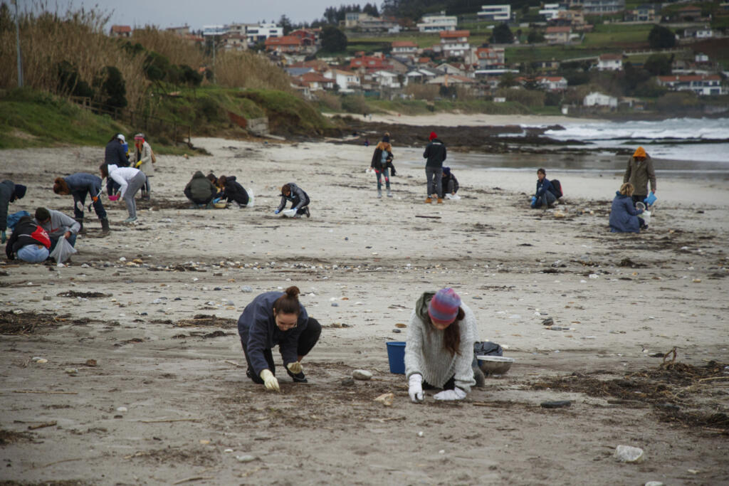 Des volontaires collectent des granulés de plastique, ou «pellets» sur une plage de Nigran, Pontevedra, Espagne, le mardi 9 janvier 2024. Les procureurs espagnols ont ouvert une enquête sur d'innombrables minuscules granulés de plastique rejetés sur la côte nord-ouest du pays après avoir été déversés par un navire de transport.