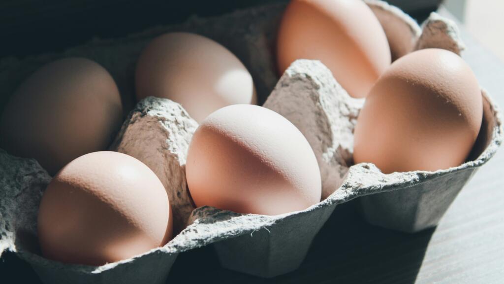 Alimentation : quels sont les apports nutritifs des œufs de poule ?