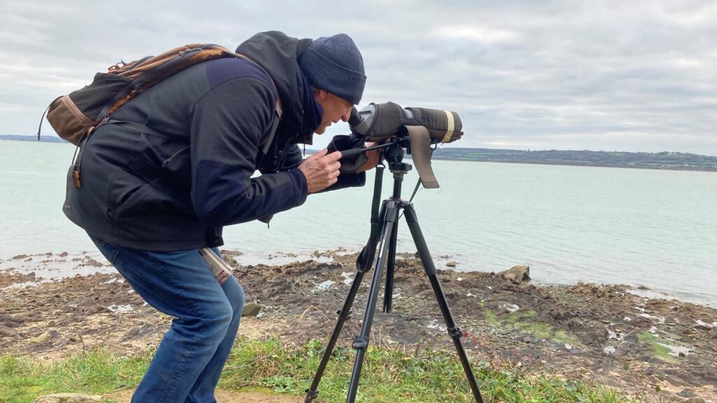 Laurent Legrand, ornithologue, en observation de la population d'oiseaux.