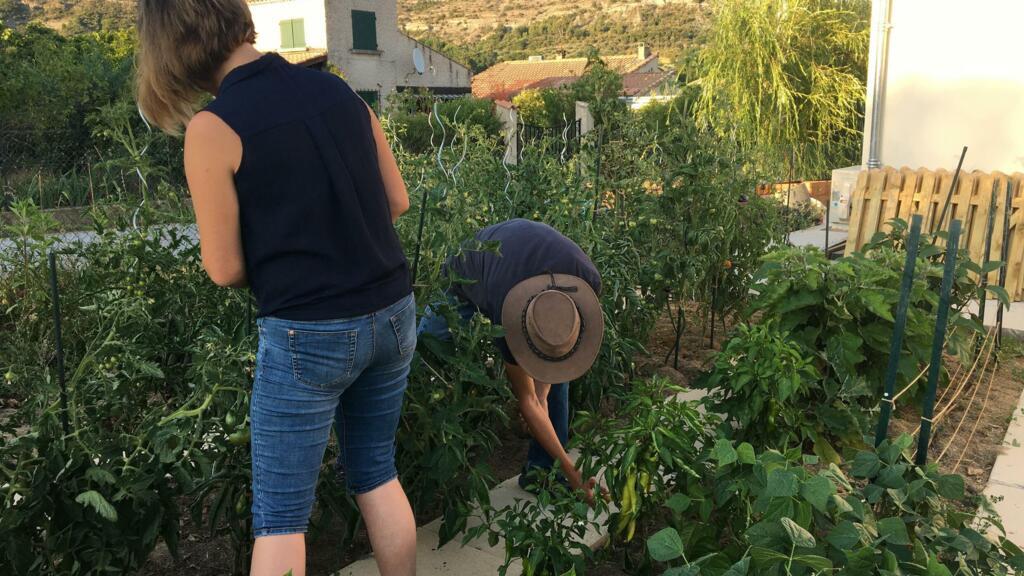 Katell et Hugues Thierry ont profité du temps que leur a imposé la crise sanitaire pour manger d'avantage de produits locaux et créer leur propre potager.