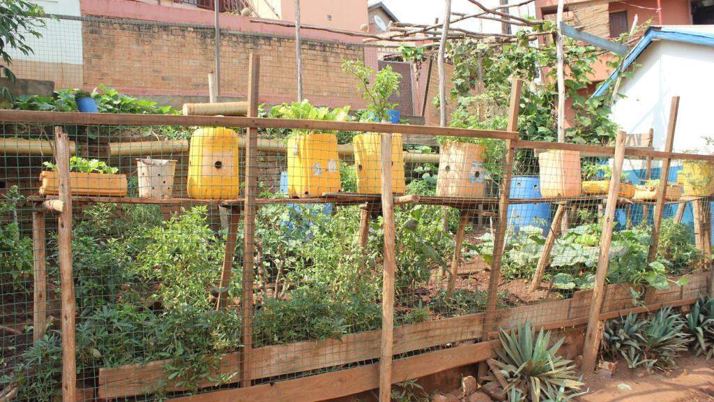 Un potager urbain à Antananarivo.