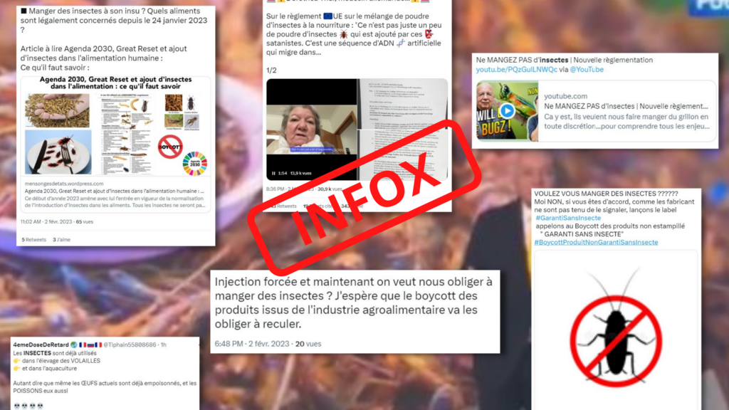 Non, l'Union européenne ne force personne à manger des insectes.