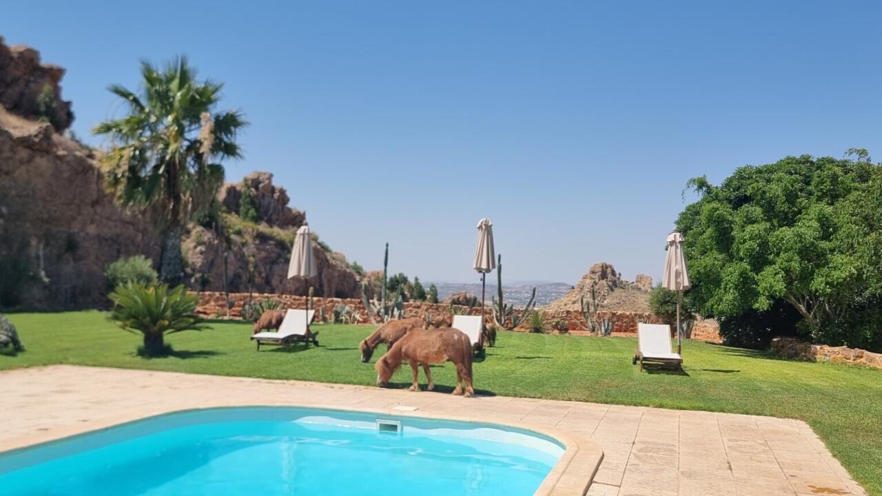 Tunisie: la diaspora investit mais reste frileuse face aux lourdeurs Tunisie: la diaspora investit mais reste frileuse face aux lourdeurs