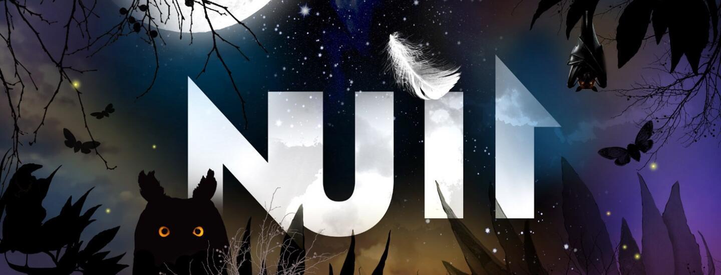 Pourquoi La Nuit Tous Les Chats Sont-ils Gris 2. Pourquoi la nuit tous les chats sont gris ? La vie nocturne des