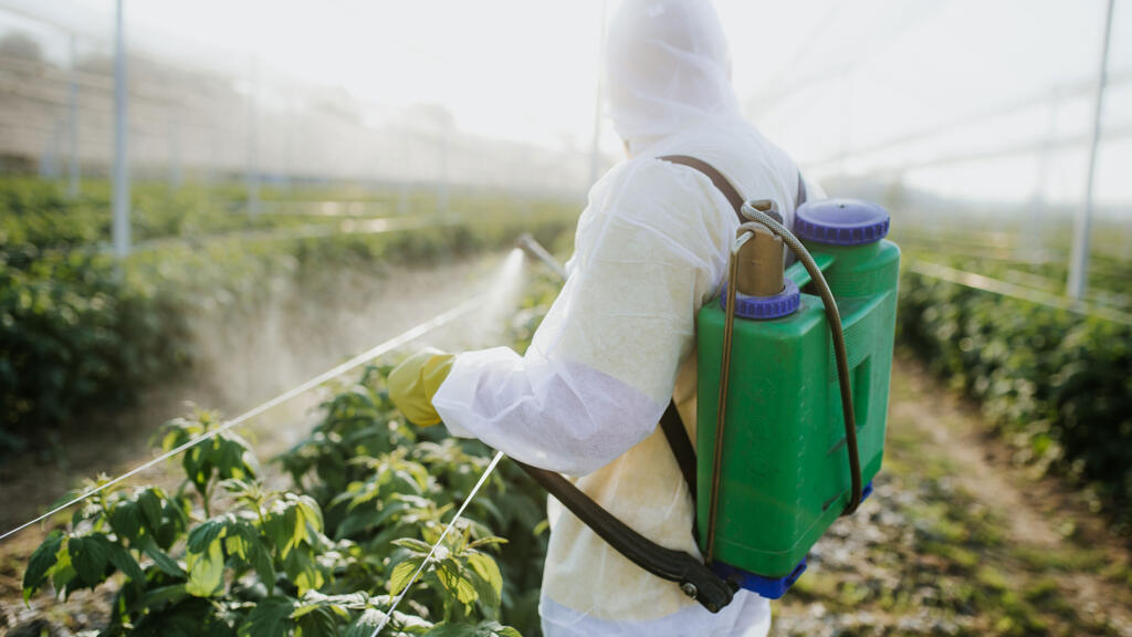 Les PFAS, composés chimiques polluants et néfastes pour la santé humaine et environnementale, sont présents dans les pesticides à la fois comme ingrédients actifs, mais aussi parce qu'ils ont utilisés dans le contenant du liquide.