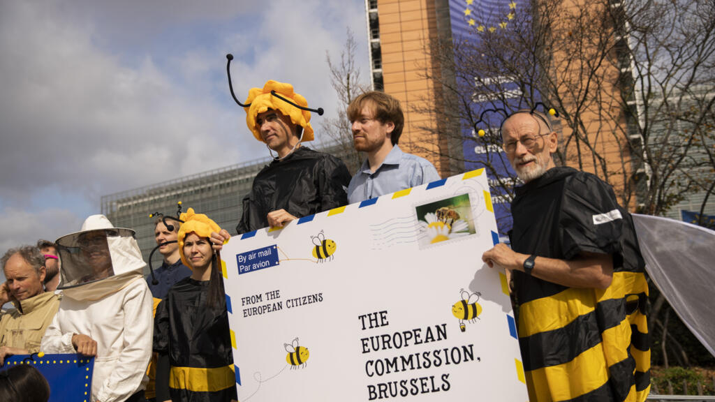 Environnement: «La survie des Européens dépend de celle des pollinisateurs sauvages»