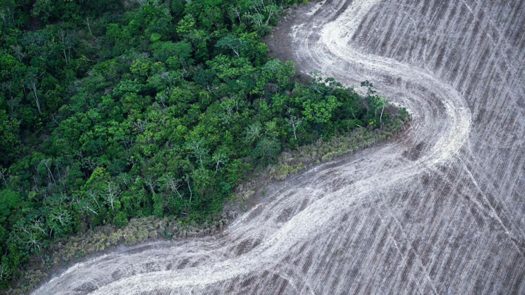 La COP 30 se déroule à Belém au Brésil, aux portes de l’Amazonie, où l’ampleur de la déforestation a un impact direct sur la baisse de la pluviométrie. Des responsables de plusieurs religions sont aussi présents à Belém pour faire entendre leurs voix.