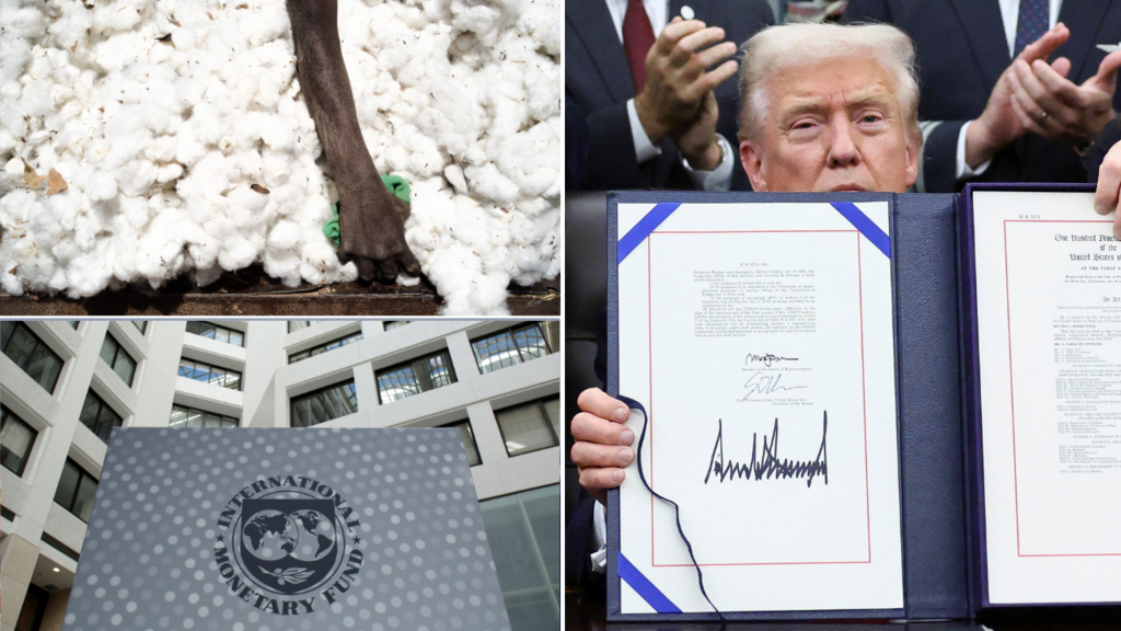 Photomontage ASA 14112025