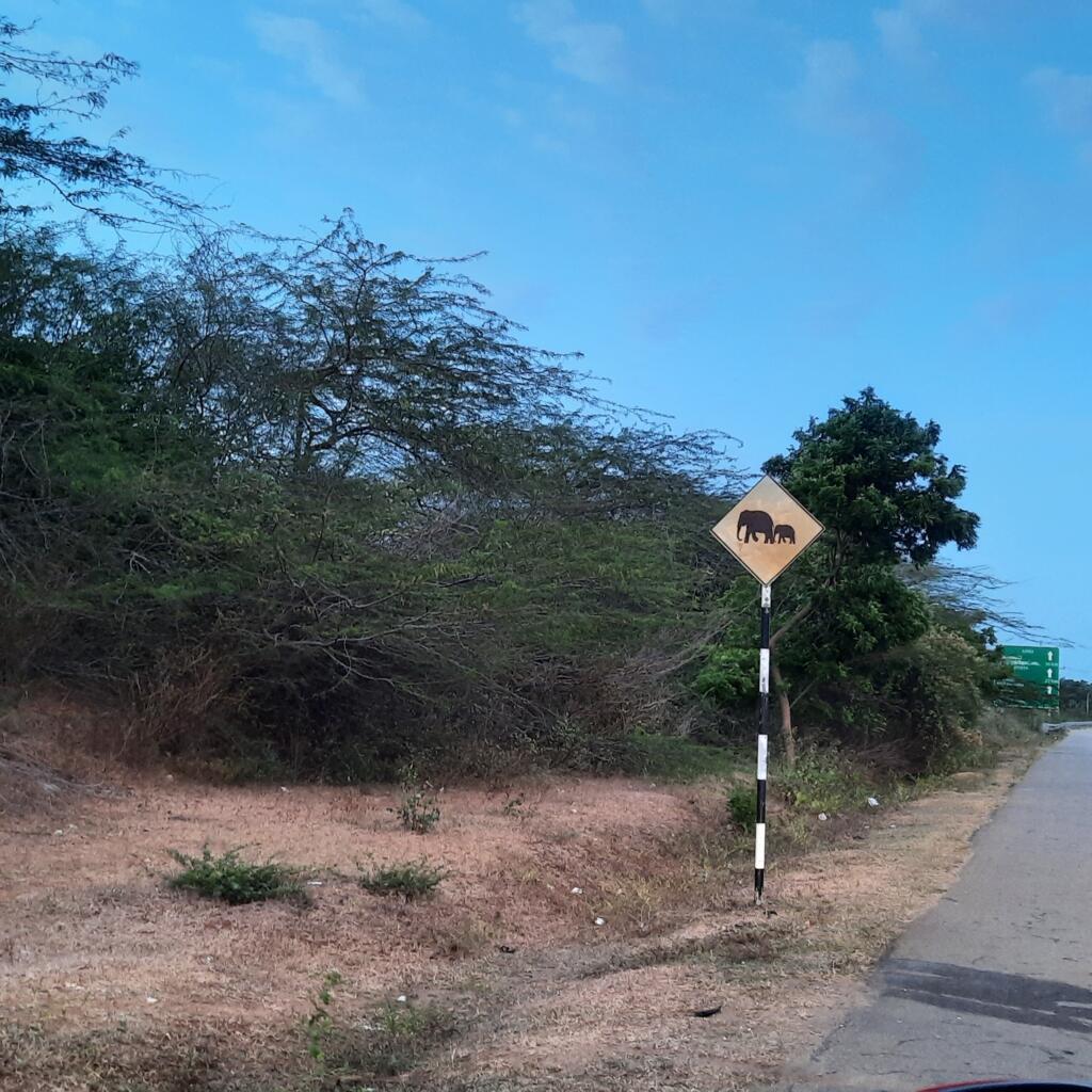 Panneau de signalisation pour prévenir les conducteurs que la zone que des éléphants peuvent traverser la route.