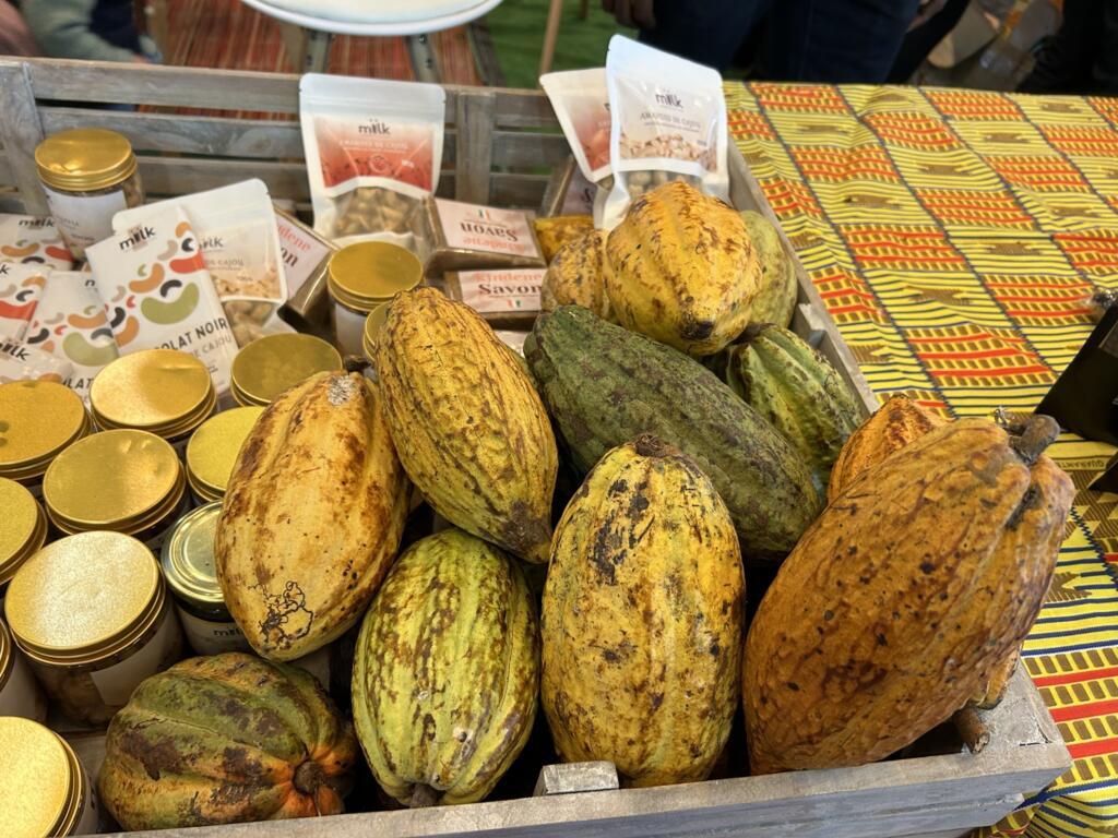 Cabosses de cacao au Salon International de l'Agriculture 2023, sur le stande de Sawadogo Moussa, producteur ivoirien de cacao