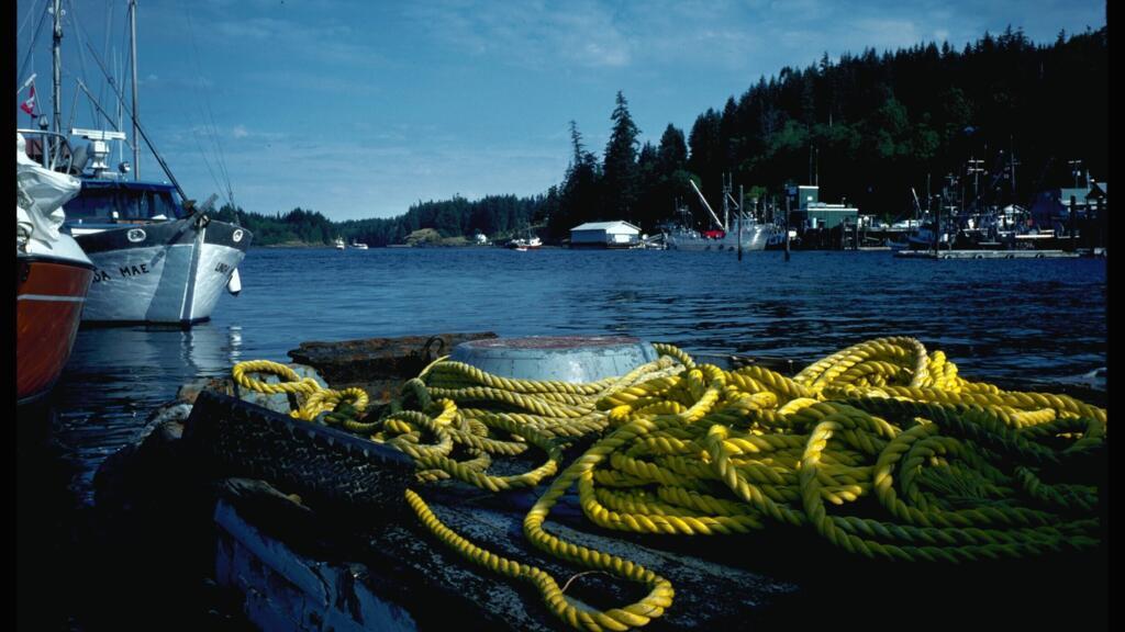 Quathiaski Cove, sur la côte de l'île Quadra, en Colombie-Britannique, au Canada.