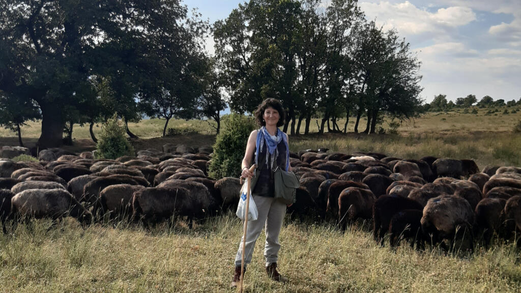 Kapka Kassabova a suivi la transhumance de 600 bêtes dans les Monts du Pirin en Bulgarie.