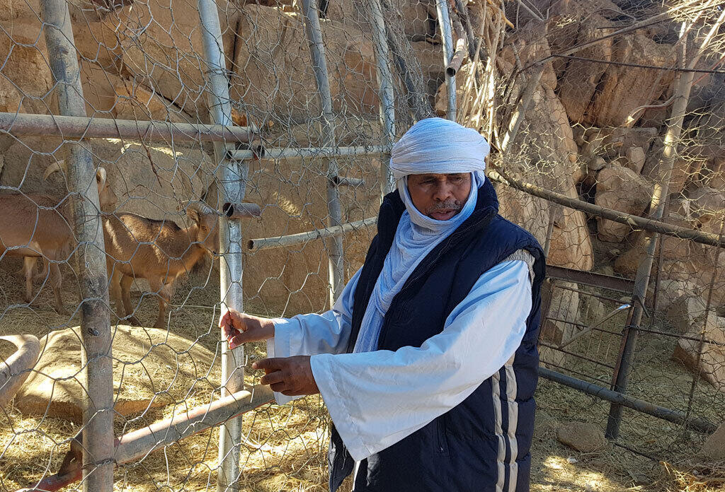 Le directeur de l’agence Tadrart Voyages, Abdelkader Hamid.