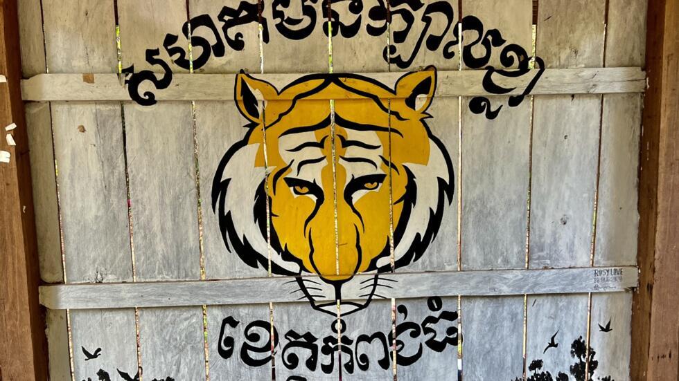 សហគមន៍ក្បាលខ្លាបារម្ភពីកំណើនបទល្មើសព្រៃឈើ ក្រោយការផ្តាច់ជំនួយពី USAID