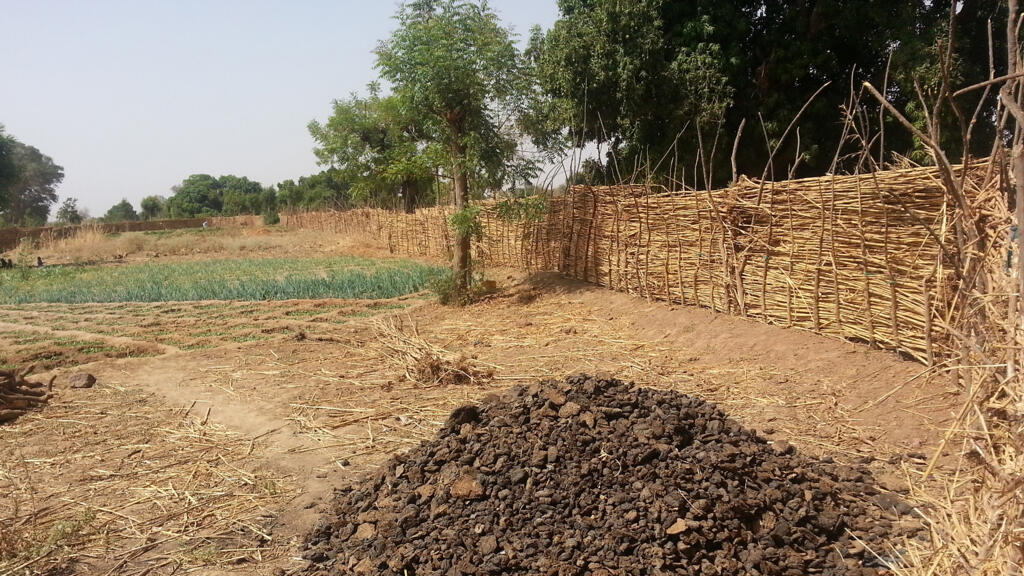 Des femmes se battent pour faire du maraichage sur des terres dégradées à Réo, le chef-lieu du département de Réo de la province de Sanguié, dans la région du centre-ouest au Burkina Faso.