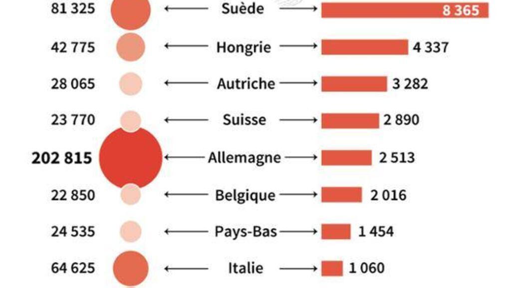 Онлайн анальді лизинг Зума секс гладиаторы 3d