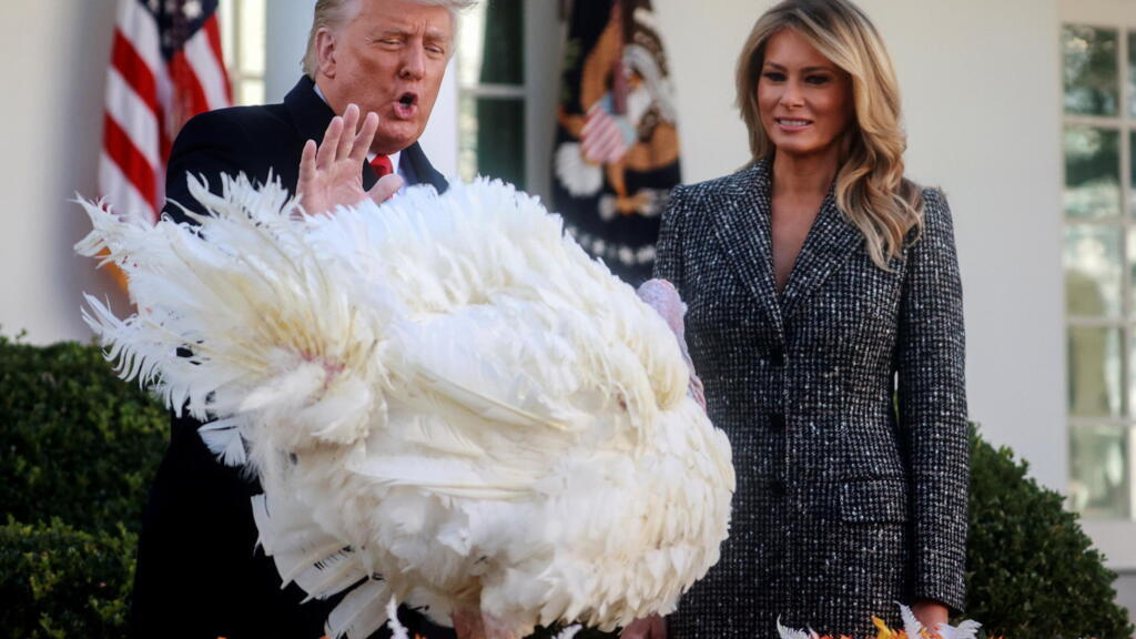 Le président américain Donald Trump, aux côtés de sa femme Melania, gracie la dinde appelée Corn pour Thanksgiving, le 24 novembre 2020.