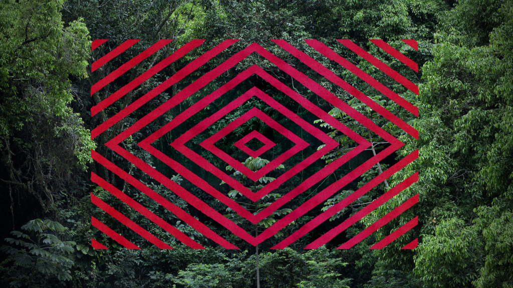 "Ibirapitanga" é uma das obras de José Diniz inspiradas no Pau-Brasil
