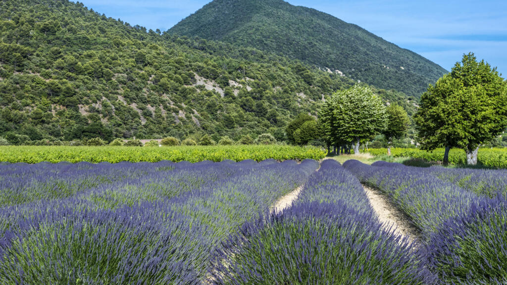 Parc Régional des Baronnies provençales, à Venterol.
