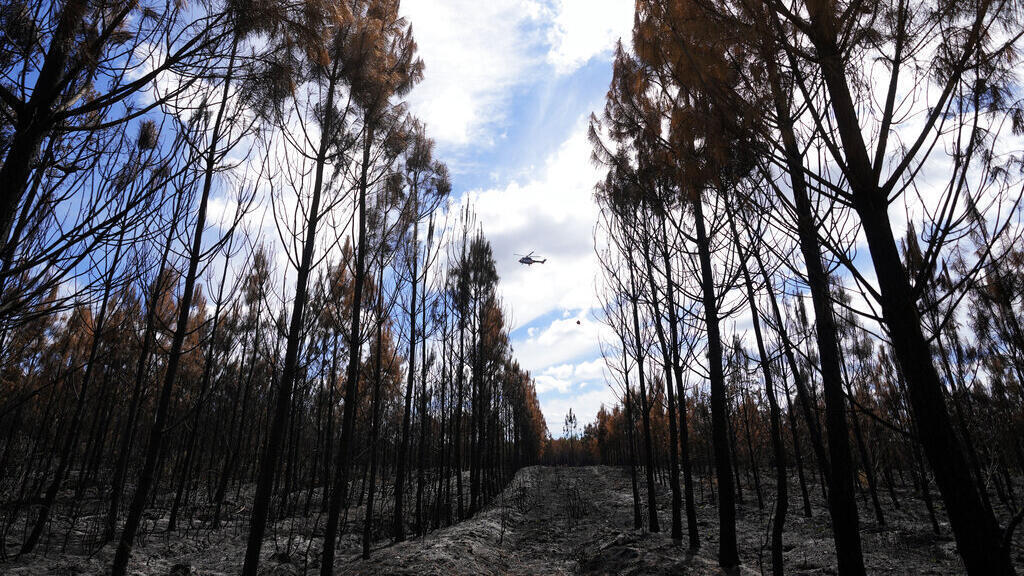 Aumento de incêndios florestais fragilizam florestas na Europa, como esta em Hostens, no sudoeste da França. (23 de agosto de 2022)