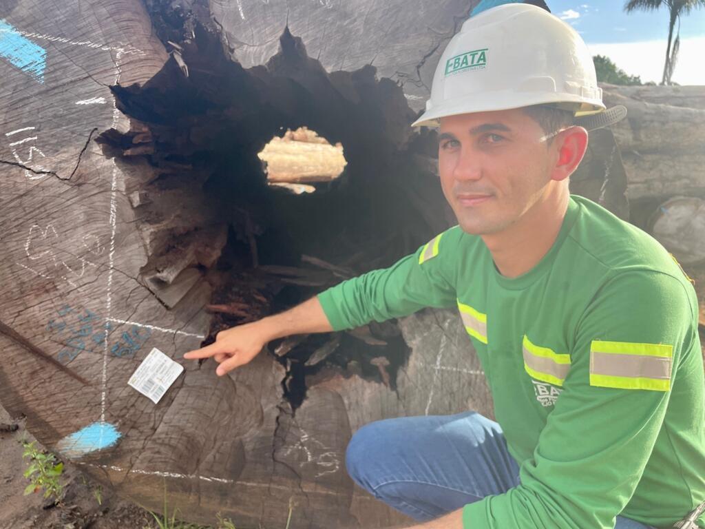 Pablio Oliveira da Silva, gerente de produção da filial de Terra Santa da Ebata, exibe tora de madeira extraída da Flona de Saracá-Taquera.