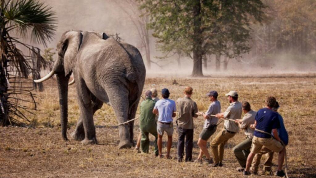Le Parc national de Liwonde (Malawi).