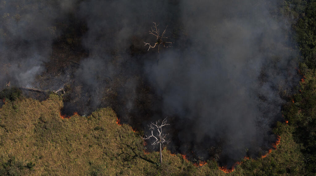 Imagem aérea de mostra queimada próxima à Flora do Jacundá, em Rondônia, em agosto de 2020. 