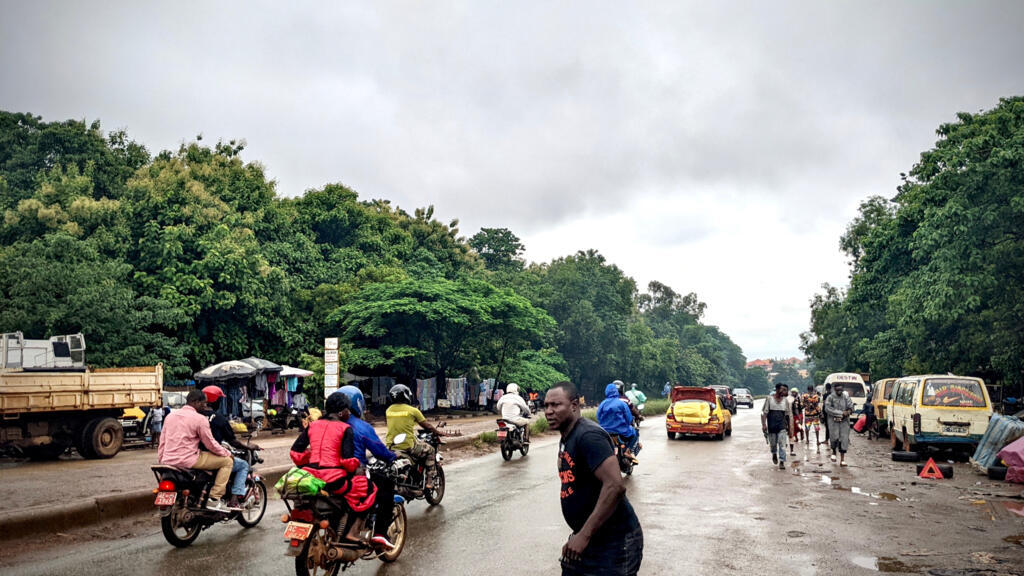 Les 8 derniers hectares de la forêt d'Entag, traversés par l'autoroute Fidel Castro.