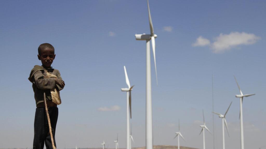 Quoiqu'un petit contributeur aux émissions, le Kenya vit le changement climatique de plein fouet, notamment avec des sécheresses de plus en plus dures. Ici, un éleveur promène ses bêtes parmi la carcasse d'une vache morte à cause de la sécheresse, près de Kargi, le 9 octobre 2021.