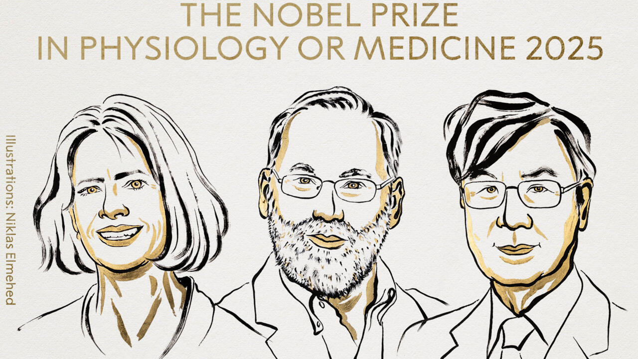 Le Nobel de médecine décerné aux Américains Mary E. Brunkow, Fred Ramsdell et au Japonais Shimon Sakaguchi