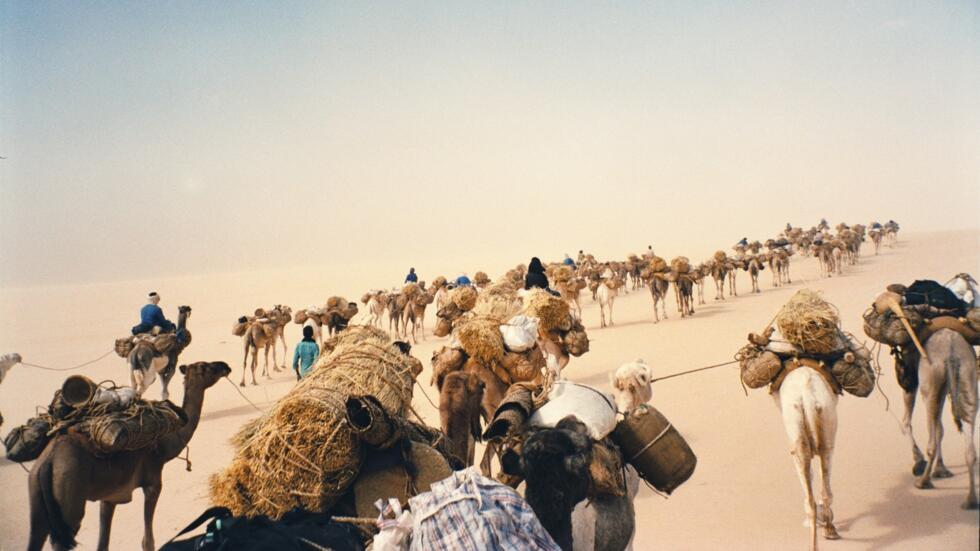Sur la Taghlamt, la caravane de sel qu'a suivie Alissa Descotes Toyosaki, en 1998. Cette caravane traverse le Ténéré pour aller chercher le sel à Bilma.