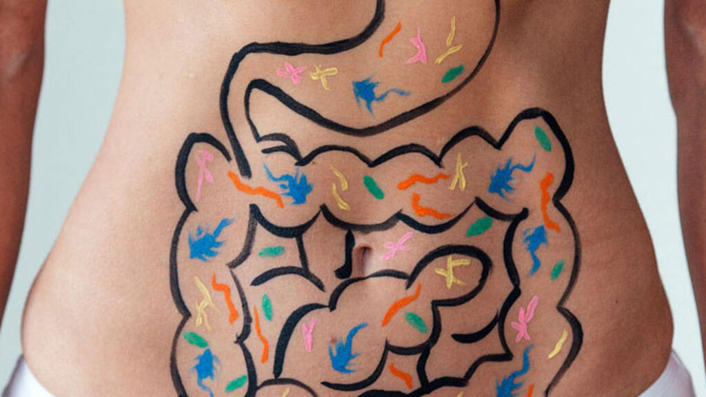 Imagem do microbiota publicada no livro "O Charme Discreto do Intestino" 