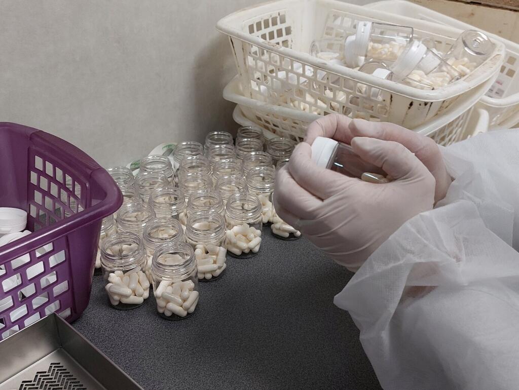 Les pots peuvent accueillir jusqu'à 15 gélules d'amoxicilline.