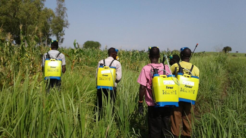 The repellent, which can be sprayed directly onto crops, also acts as an organic pesticide and fertilizer