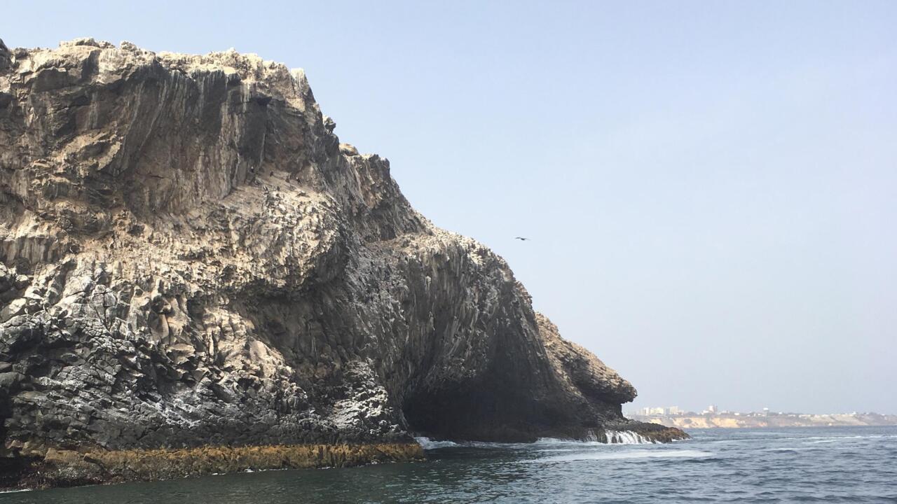 [Reportage]Sénégal Madeleine, l’île sauvage et paisible au large de Dakar