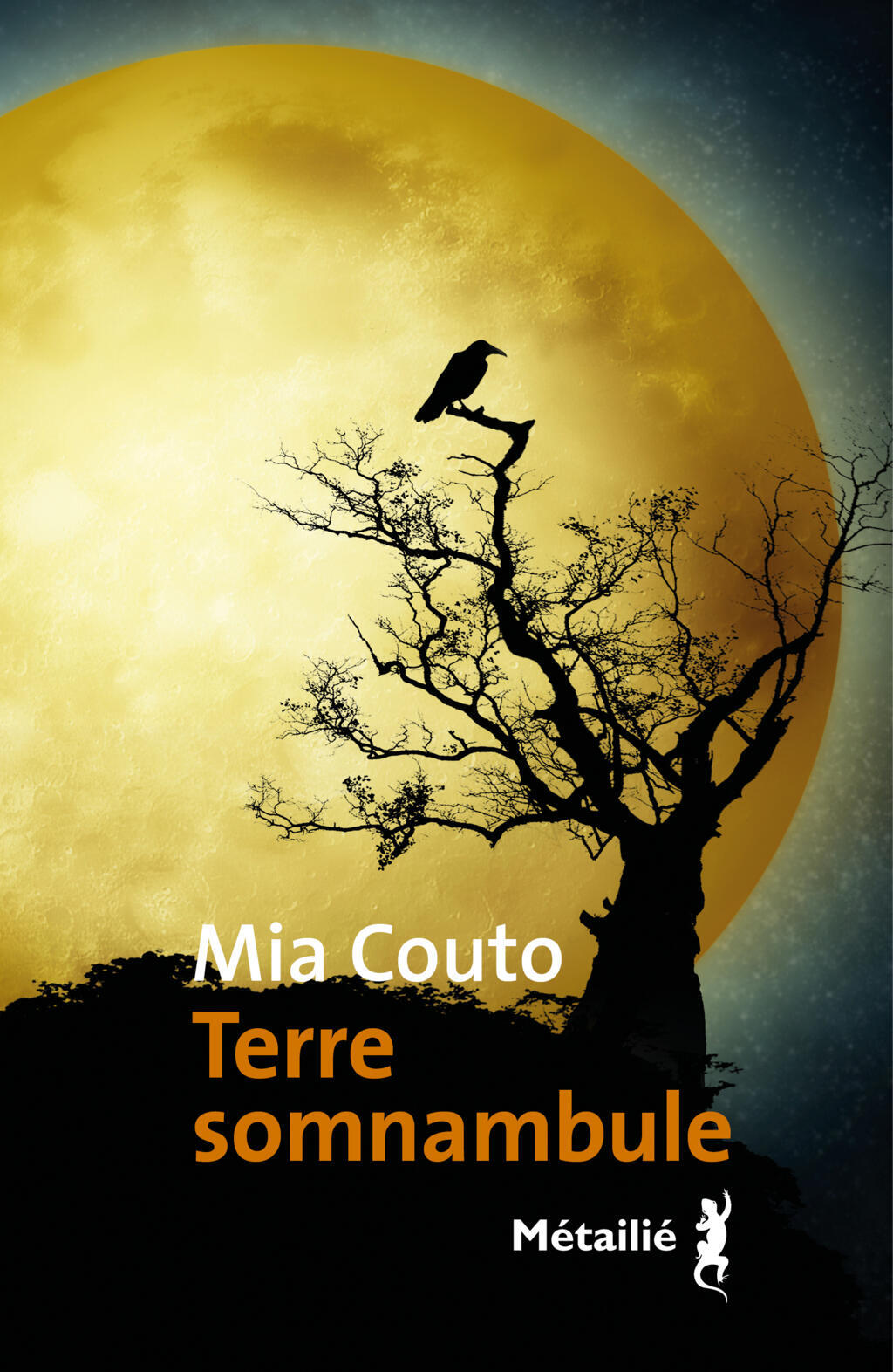Paru en 1992, Terre somnabule est le premier roman du Mozambicain Mia Couto. Traduit en français dès 1994, il vient d'être retraduit aux éditions Métailié par Elisabeth Monteiro Rodroigues.