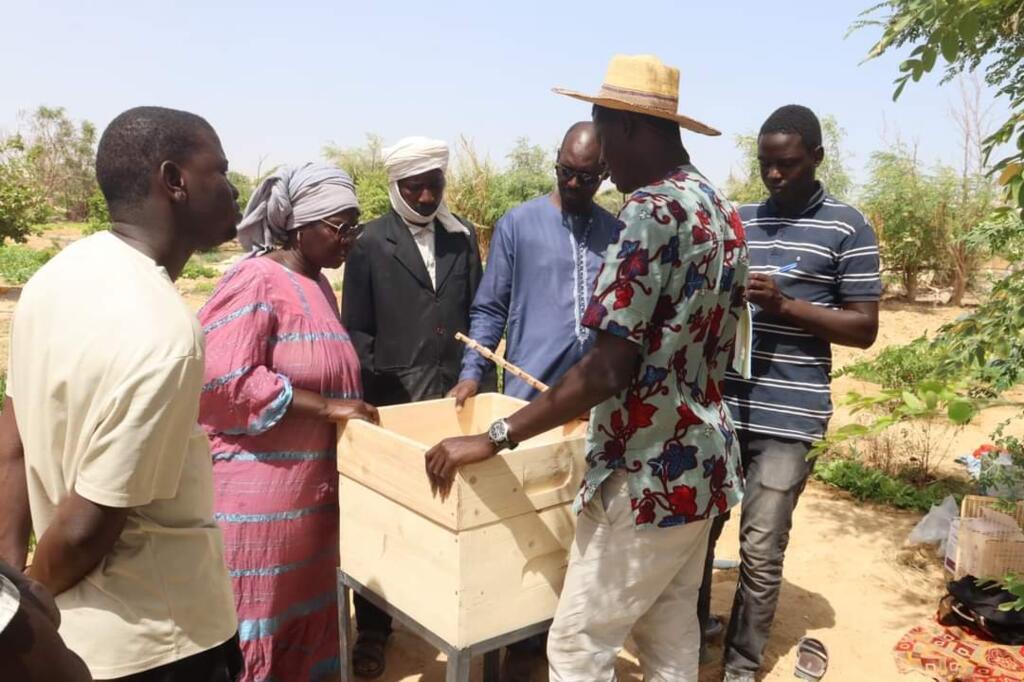 Démonstration de ruches en Mauritanie