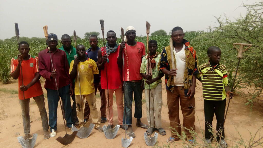 Un champ de céréales dans le village de Diomga, province de l’Oudalan, région du Sahel, au Burkina Faso.