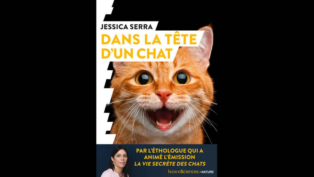 «Dans la tête d'une chat», le livre de Jessica Serra (Humensciences).