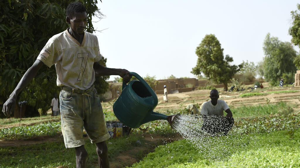 Un homme arrose un jardin potager près des rives du fleuve Niger à Gao, dans le nord du Mali. (Image d'illustration)