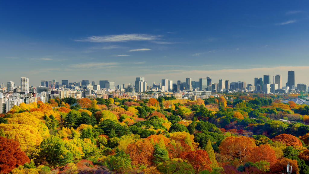 Vue aérienne des couleurs d'automne de Shinjuku Gyoen à Tokyo.