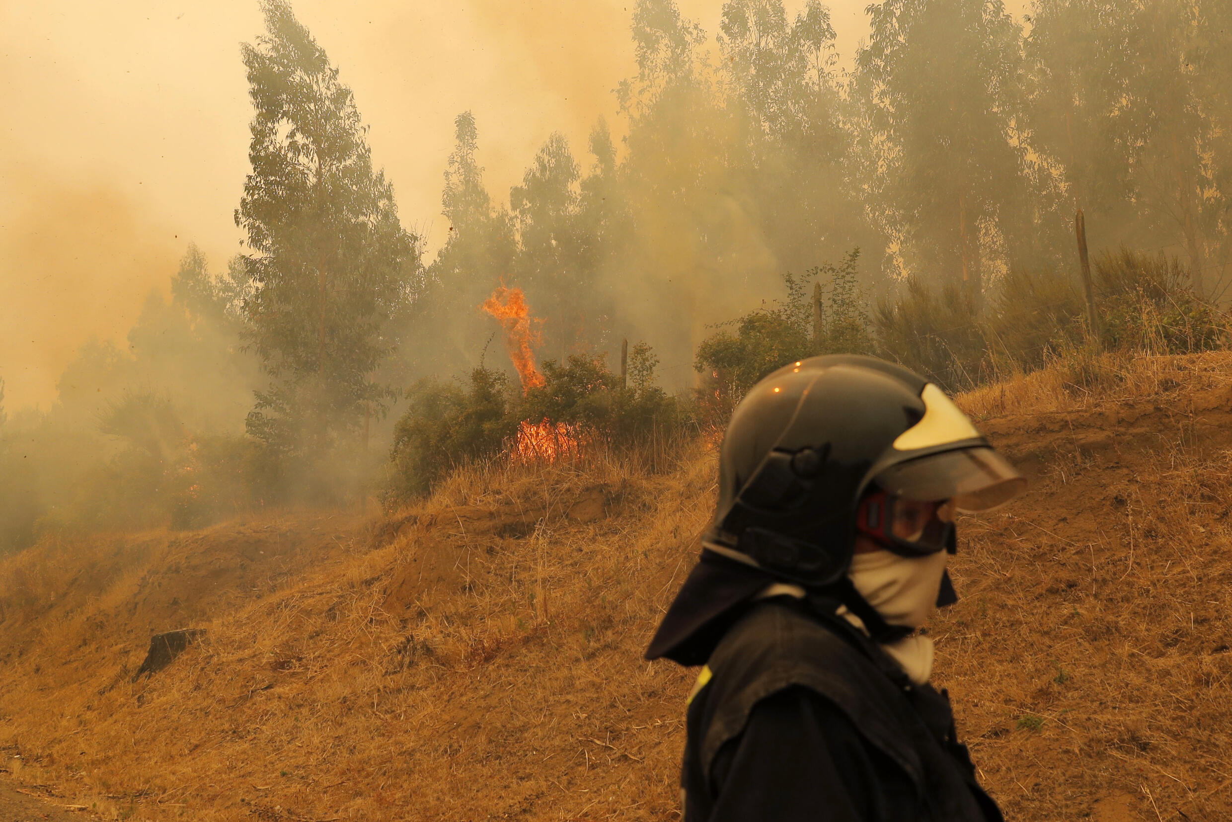Death toll in Chile forest fires rises to 23 official