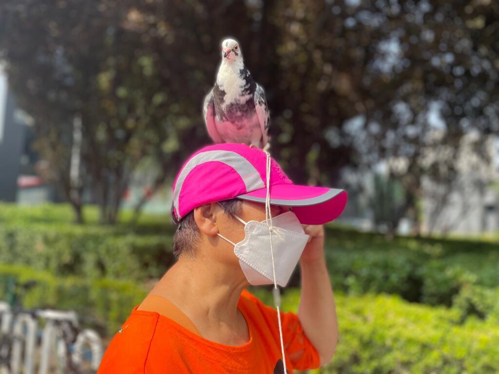 Les aéronefs « bas et lents » ne doivent pas voler pendant le Congrès. Mais cette Pékinoise retraitée n’en a cure, ses pigeons ont un fil à la pate.