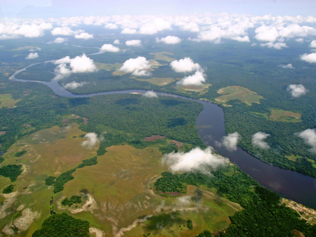 存档照片 / 非洲：刚果盆地拥有全球第二大的热带雨林。
Photo d'archive / Afrique - Zámba Heritage, qui ambitionne de mobiliser jusqu’à 400 millions de dollars sur dix ans pour mieux gérer les forêts – et en faire un moteur de développement. Ici, le bassin du Congo abrite la deuxième plus grande forêt tropicale humide du monde. (illustration)