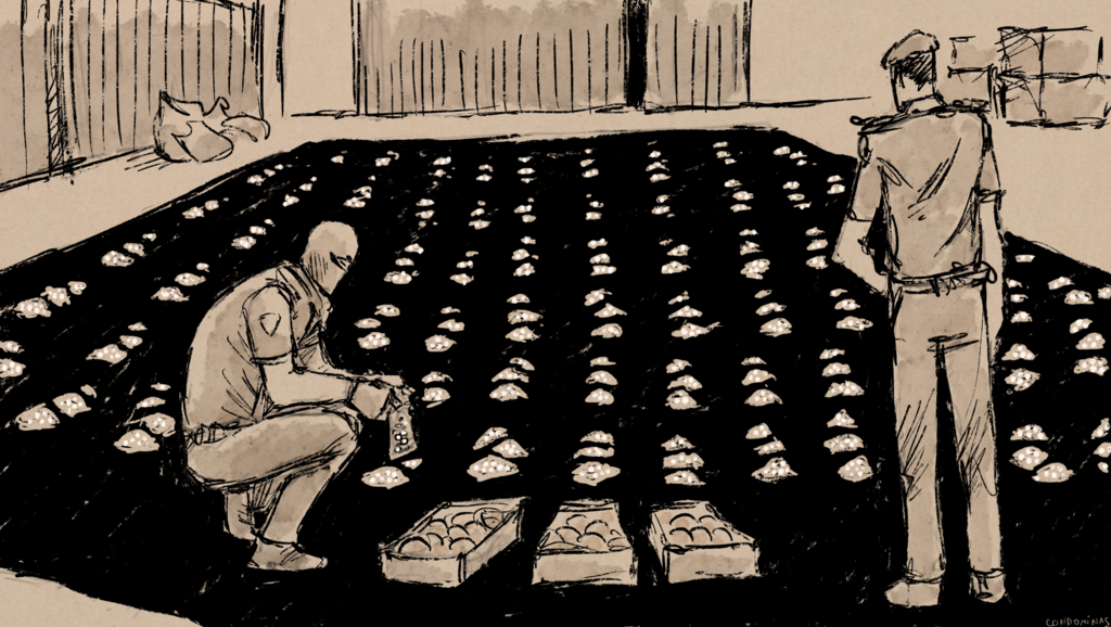 Illustration basée sur des photographies de saisies effectuées par les douanes saoudiennes.